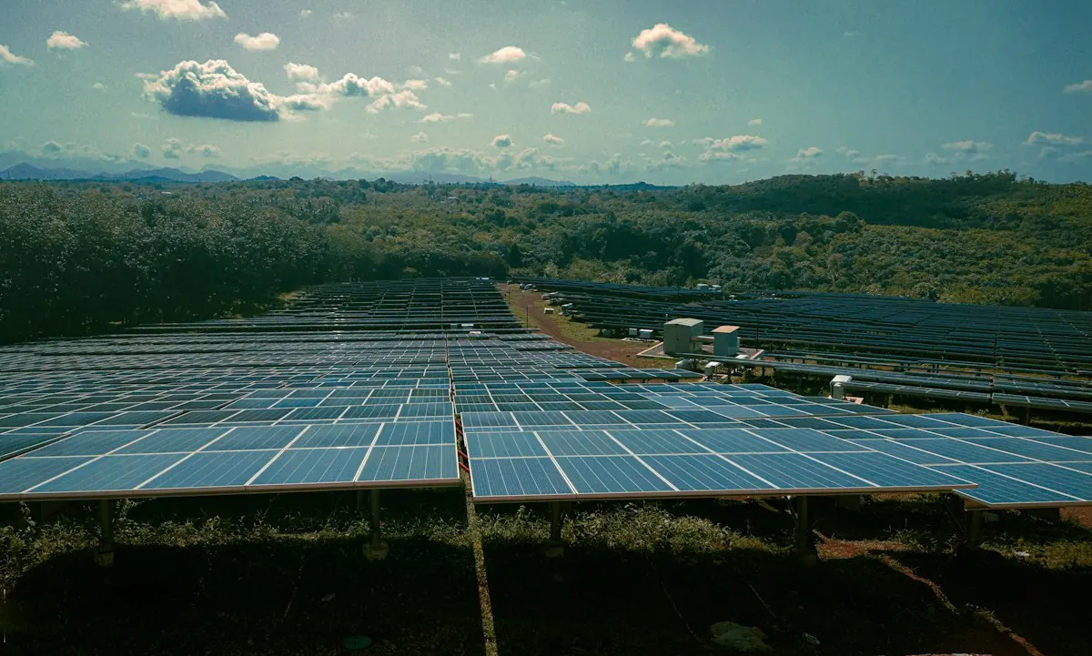 Rows of solar panels across a rural energy site